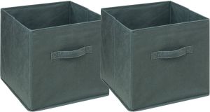 5Five Opbergmand kastmand 2x vakkenkast 29 liter groen 31 x 31 x 31 cm Opbergmanden