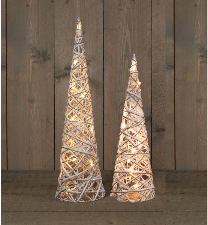 Anna&apos;s Collection Set van 2x stuks LED verlichte kegel kerstbomen 40 en 60 cm kerstverlichting figuur