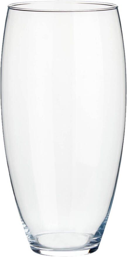 Arte r Bloemenvaas van glas 18 x 36 cm Glazen transparante vazen