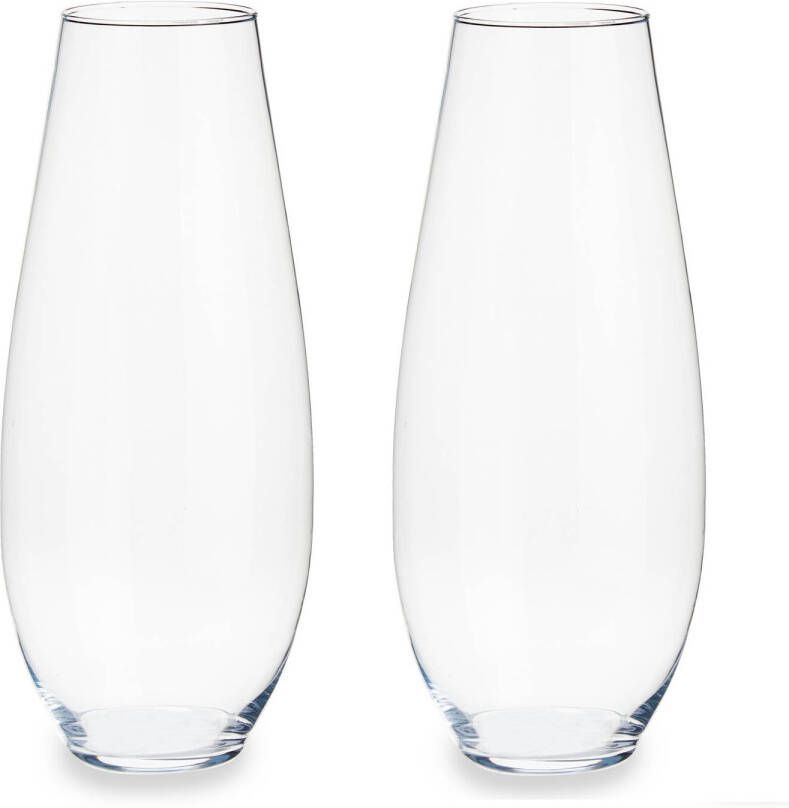 Arte r Set van 2x stuks bloemenvazen van glas 17 x 39 cm Glazen transparante vazen