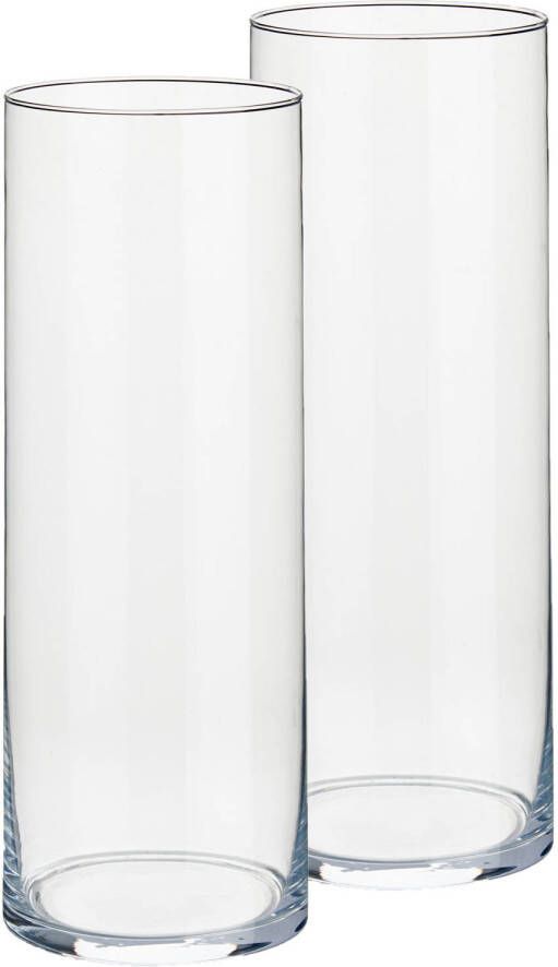 Arte r Set van 2x stuks bloemenvazen van glas 12 x 30 cm Glazen transparante cilinder vazen