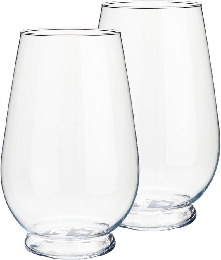 Arte r Set van 2x stuks bloemenvazen van glas 18 x 29 cm Glazen transparante cilinder vazen