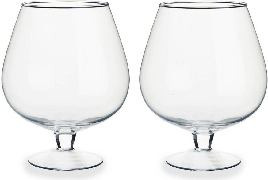 Arte r Set van 2x stuks glazen wijnglazen decoratie vazen 19 x 23 cm Glazen transparante vazen