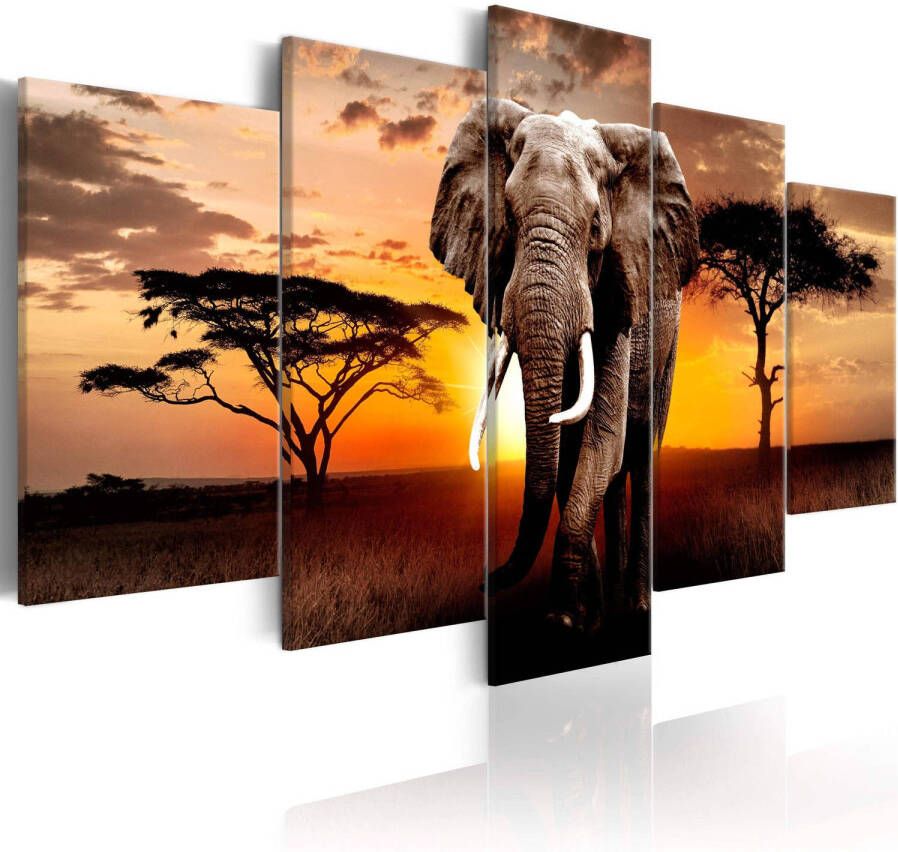 Artgeist Canvas Schilderij Elephant Migration 5-luik 200x100cm