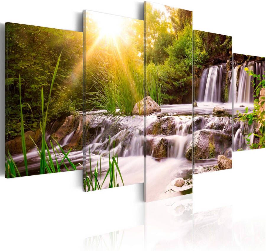 Artgeist Forest Waterfall Canvas Schilderij 5-luik 200x100cm