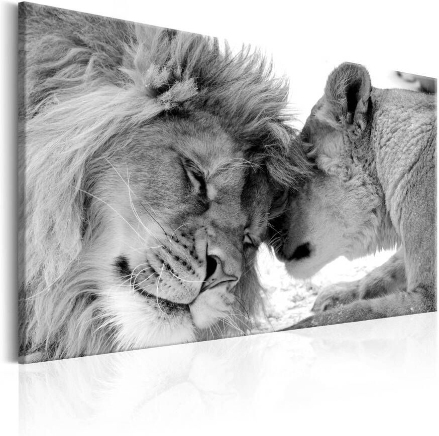 Artgeist Lions Love Canvas Schilderij 120x80cm