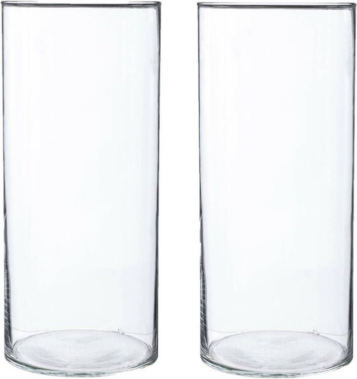 Atmosphera 2x Bloemenvaas cilinder vorm van transparant glas 30 x 13 cm Vazen