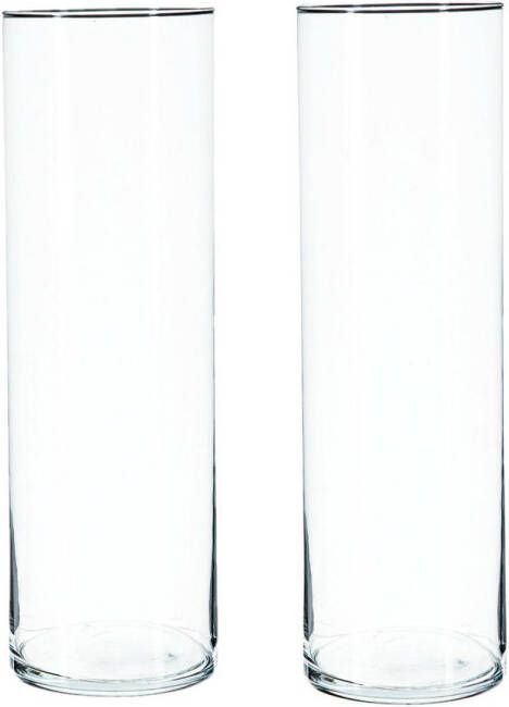 Atmosphera 2x Bloemenvaas cilinder vorm van transparant glas 40 x 15 cm Vazen