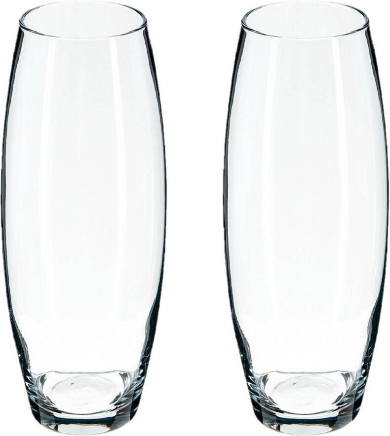 Atmosphera bloemenvaas 2x Ovaal model transparant glas H26 x D11 cm Vazen