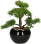 ATMOSPHERA Bonsai in keramische pot 36 cm Kunstplanten Nepplanten Kunstplanten - Thumbnail 1