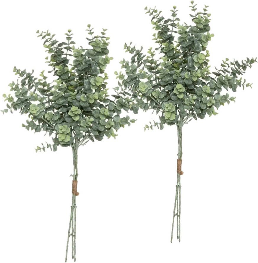 Atmosphera kunstplant 2 boeketten eucalyptus groen 64 cm Kunstplanten