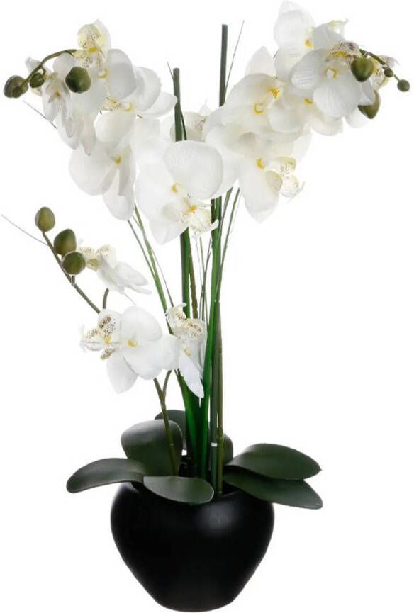 Atmosphera Orchidee bloemen kunstplant in zwarte bloempot witte bloemen H53 cm Kunstplanten