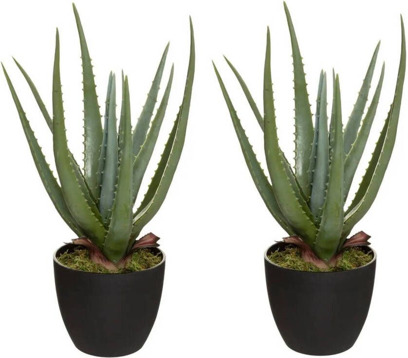 ATMOSPHERA Set van 2x stuks Aloe kunstplanten in pot van cement 42 cm Nepplanten Kunstplanten