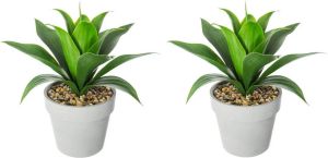 ATMOSPHERA Set van 2x stuks Aloe Vera kunstplanten in pot van cement 34 cm Nepplanten Kunstplanten