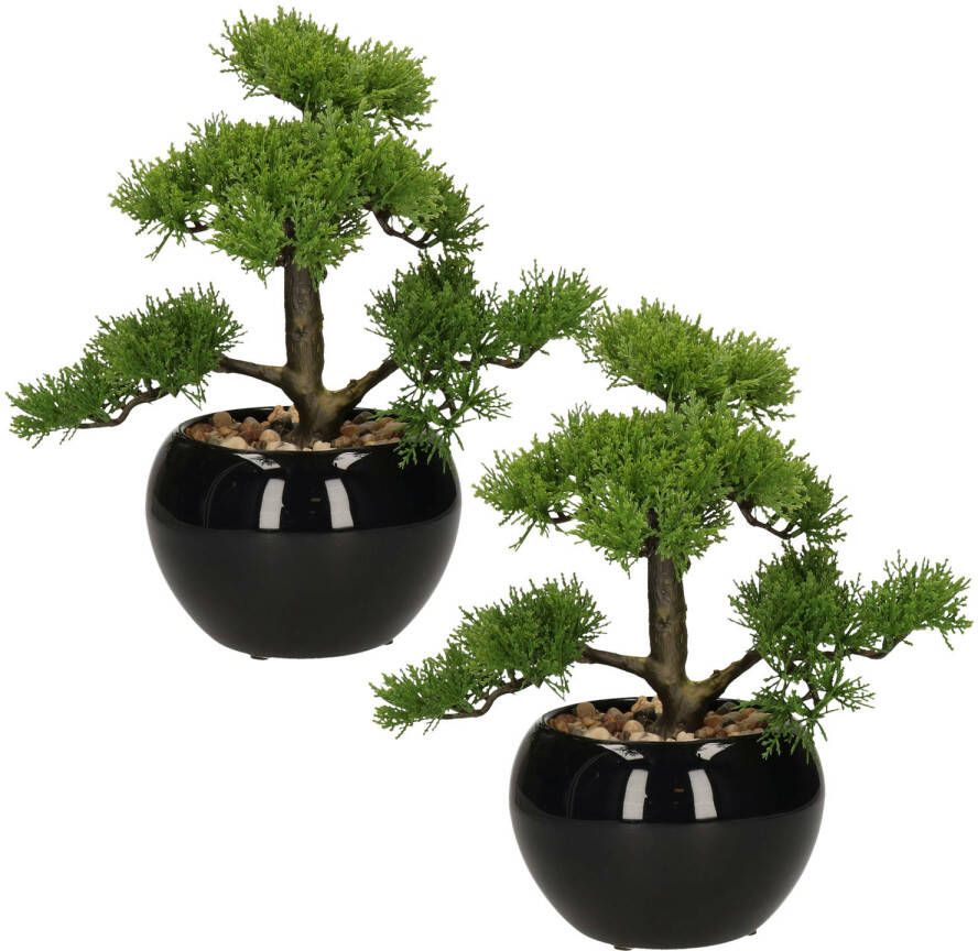 Atmosphera Set van 2x stuks bonsai in keramische pot 36 cm Kunstplanten