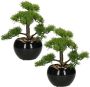 ATMOSPHERA Set van 2x stuks bonsai in keramische pot 36 cm Nepplanten Kunstplanten - Thumbnail 1