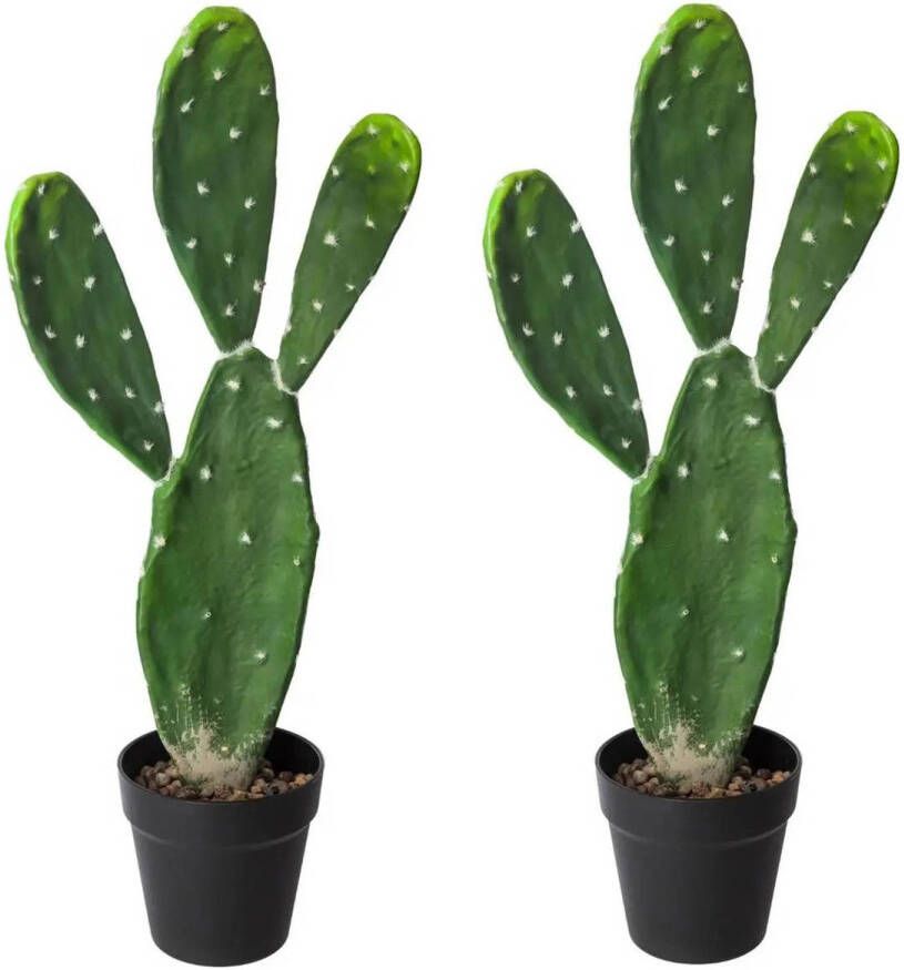 ATMOSPHERA Set of 2x stuks cactus kunstplanten in kunststof pot 60 cm Nepplanten Kunstplanten