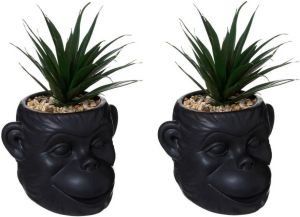 ATMOSPHERA Set van 2x stuks kunstplanten in keramische apen pot zwart 20 cm Nepplanten Kunstplanten