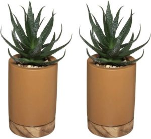 ATMOSPHERA Set van 2x stuks kunstplanten in pot van cement bruin 20 cm Nepplanten Kunstplanten