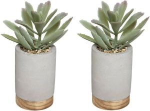ATMOSPHERA Set van 2x stuks kunstplanten in pot van cement grijs 20 cm Nepplanten Kunstplanten