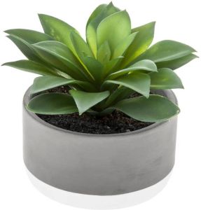 Atmosphera vetplant kunstplant in pot van cement 22 cm Kunstplanten