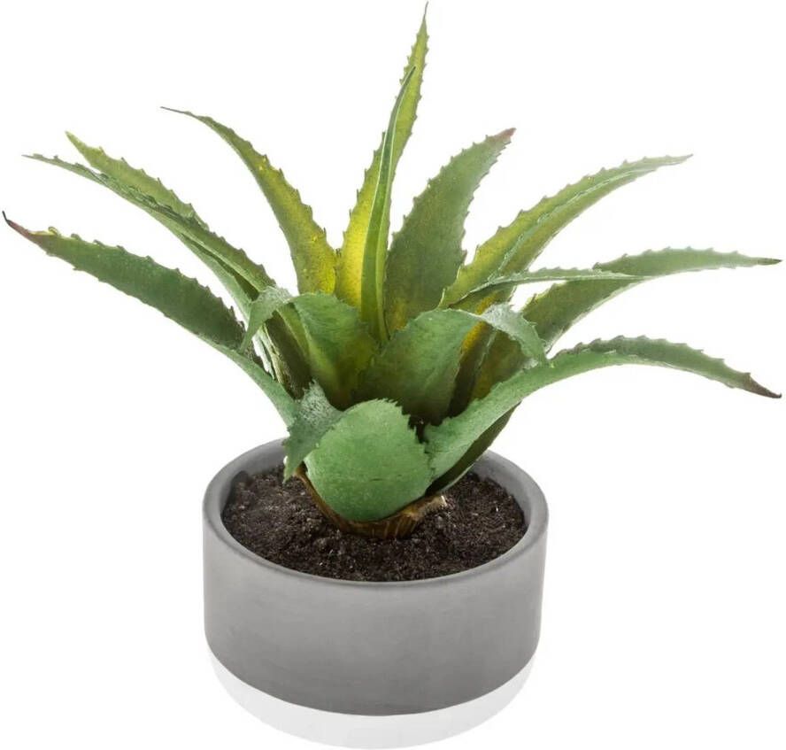 ATMOSPHERA vetplant kunstplant in pot van cement 22 cm Nepplanten Kunstplanten
