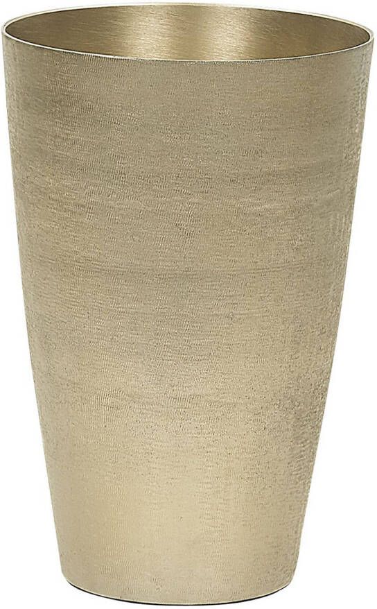 Beliani AMRIT Decoratieve vaas-goud-Aluminium