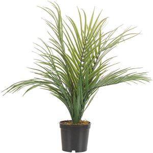 Beliani Areca Palm Kunstplant-groen-synthetisch Materiaal