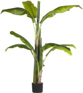 Beliani Banana Tree Kunstplant-groen-synthetisch Materiaal