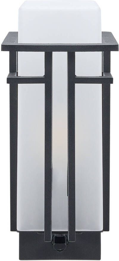 Beliani COWIE Outdoor wandlamp-Zwart-Glas