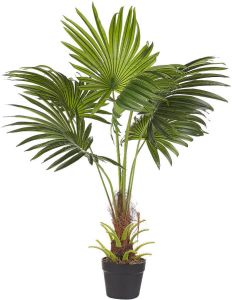 Beliani FAN PALM Kunstplant-Groen-Synthetisch materiaal