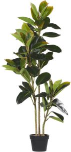 Beliani Ficus Kunstplant-groen-synthetisch Materiaal