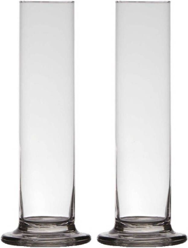 Merkloos 2x stuks transparante luxe stijlvolle 1 bloem vaas vazen van glas 25 x 6 cm Roos met Valentijn vaas voor binnen Vazen