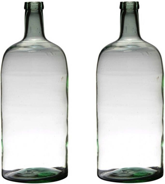 Merkloos 2x stuks transparante luxe stijlvolle flessen vaas vazen van glas 50 x 19 cm Bloemen takken vaas voor binnen gebruik Vazen