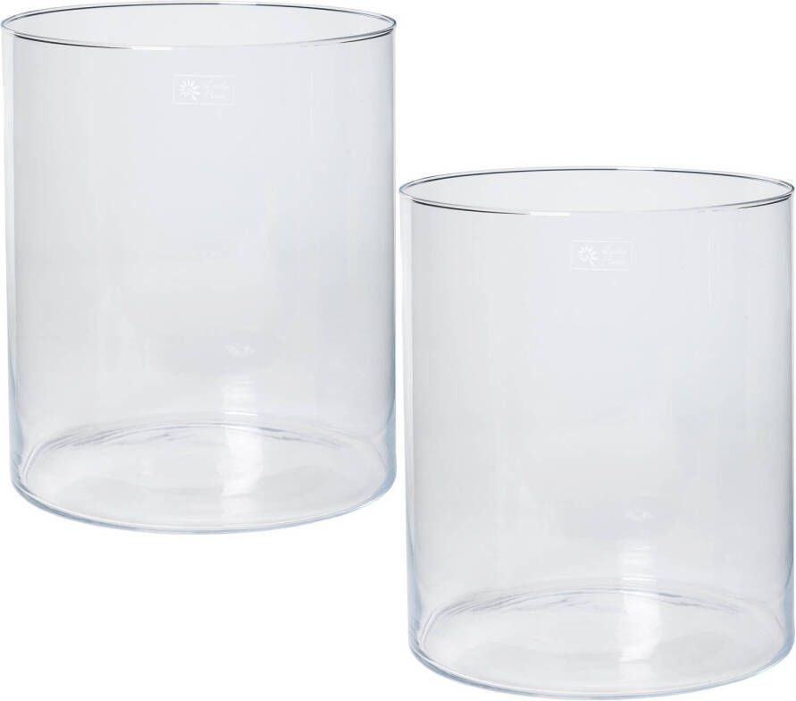 Merkloos Set van 2x stuks transparante home-basics Cilinder vaas vazen van glas 30 x 35 cm Bloemen boeketten binnen gebruik Vazen