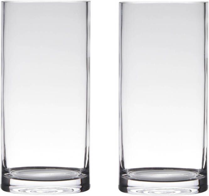 Merkloos Set van 2x stuks transparante home-basics Cylinder vorm vaas vazen van glas 25 x 12 cm Bloemen takken boeketten vaas voor binnen gebruik Vazen