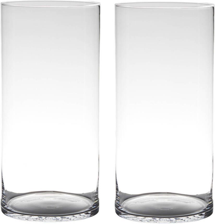 Merkloos Set van 2x stuks glazen bloemen cylinder vaas vazen 40 x 19 cm transparant Vazen