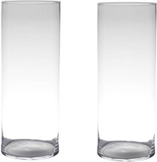 Merkloos Set van 2x stuks transparante home-basics Cylinder vaas vazen van glas 50 x 19 cm Bloemen takken boeketten vaas voor binnen gebruik Vazen