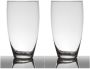 Merkloos Set van 2x stuks transparante home-basics vaas vazen van glas 25 x 14 cm Bloemen takken boeketten vaas voor binnen gebruik Vazen - Thumbnail 1