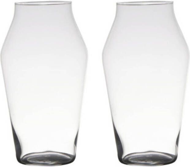 Merkloos Set van 2x stuks transparante home-basics vaas vazen van glas 25 x 16 cm Bloemen takken boeketten vaas voor binnen gebruik Vazen
