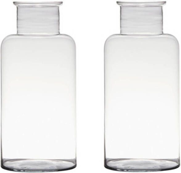 Merkloos Set van 2x stuks transparante home-basics vaas vazen van glas 35 x 16 cm Bloemen takken boeketten vaas voor binnen gebruik Vazen