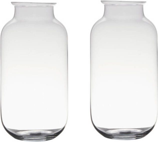 Merkloos Set van 2x stuks transparante home-basics vaas vazen van glas 35 x 17 cm Bloemen takken boeketten vaas voor binnen gebruik Vazen