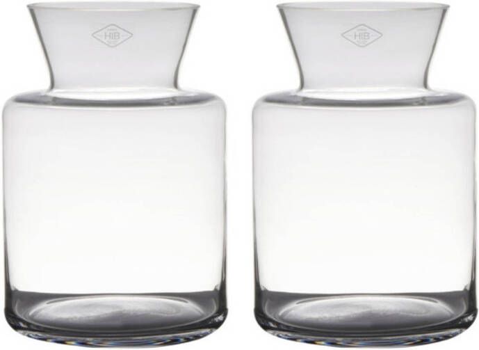 Merkloos Set van 2x stuks transparante luxe stijlvolle vaas vazen van glas 27 x 19 cm Bloemen boeketten vaas voor binnen gebruik Vazen
