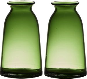 Merkloos Set van 2x stuks transparante home-basics groene vaas vazen van glas 23.5 x 12.5 cm Bloemen takken boeketten vaas voor binnen gebruik Vazen