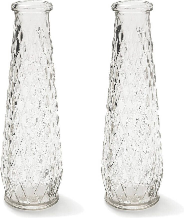 Bellatio Decorations Set van 2x stuks transparante vaas vazen van glas 6 x 22 cm Woonaccessoires woondecoraties Glazen bloemenvaas Boeketvaas Vazen