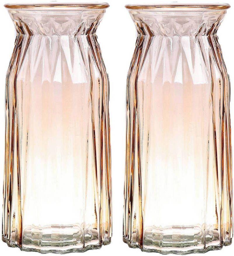 Bellatio Design Bloemenvaas 2x amber bruin glas D12 x H24 cm Vazen
