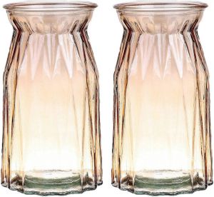 Bellatio Design Bloemenvaas set van 2x amber bruin transparant glas D12 x H20 cm Vazen