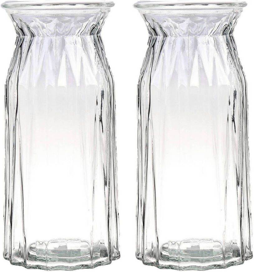 Bellatio Design Bloemenvaas 2x helder transparant glas D12 x H24 cm Vazen