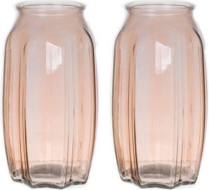Bellatio Design Bloemenvaas 2x taupe bruin transparant glas D12 x H22 cm Vazen