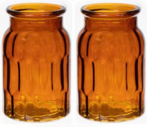 Bellatio Design Bloemenvaas klein 2x bruin transparant glas D10 x H16 cm Vazen